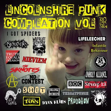 Lincolnshire Punk Compilation Vol.3 by Various Artists - album cover