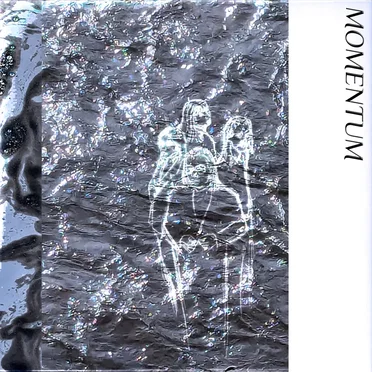 Momentum