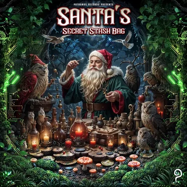 Santa's Secret Stash Bag by Various Artists - album cover