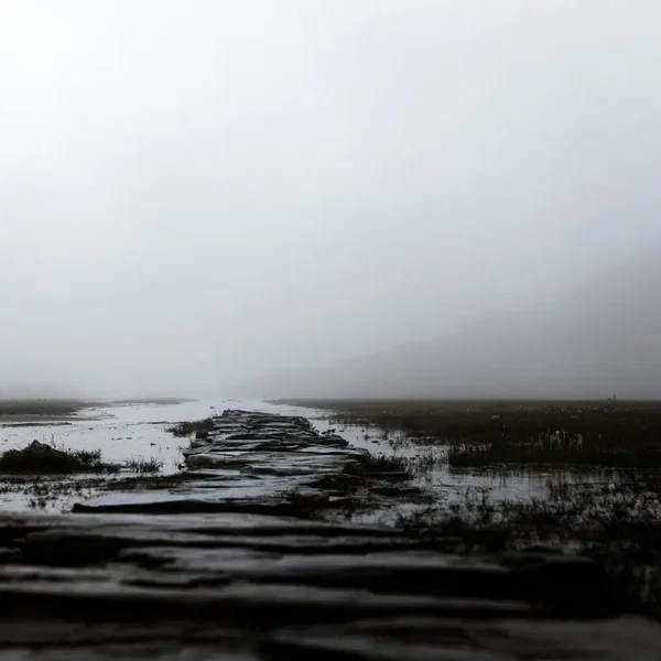 Beyond the twilight of hues - Opus I
