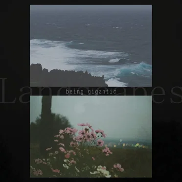 Landscapes