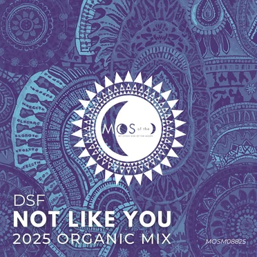 Not Like You (2025 Organic Mix)