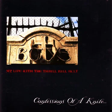 Confessions of a Knife... by My Life With the Thrill Kill Kult - album cover