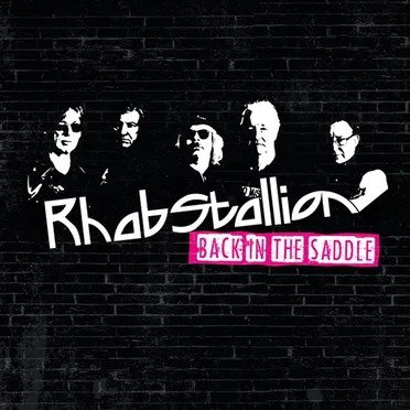 Back in the Saddle by Rhabstallion - album cover