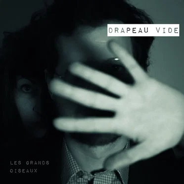 Les Grands Oiseaux