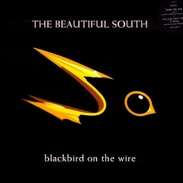 Blackbird on the Wire