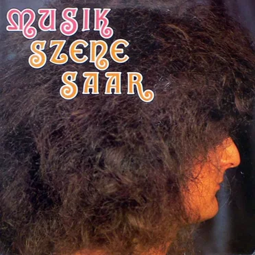 Musik Szene Saar by Various Artists - album cover