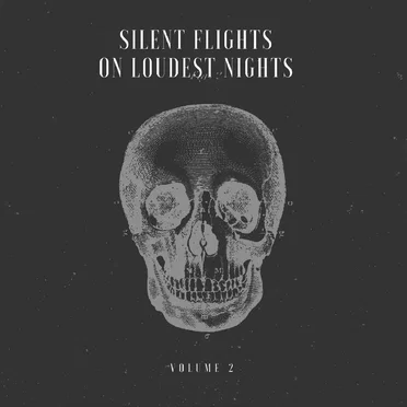 Silent Flights on Loudest Nights, Vol. 2 by Various Artists - album cover
