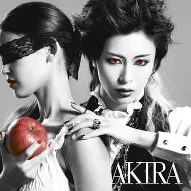 ヴァニタスの円舞曲 by AKIRA - album cover