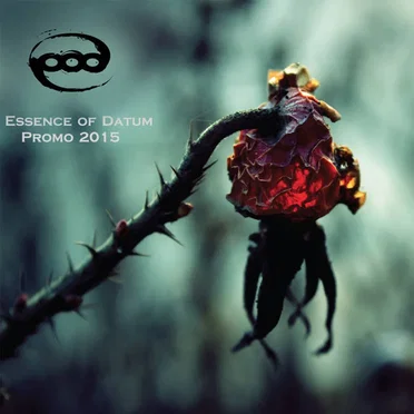 Promo 2015 by Essence of Datum - album cover