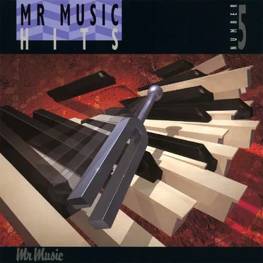 Mr Music Hits 5•93 by Various Artists - album cover