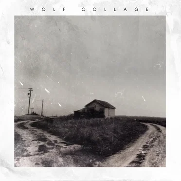 Something Like That by Wolf Collage - album cover
