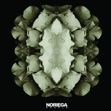 Noriega