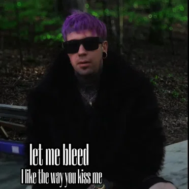 I Like the Way You Kiss Me
