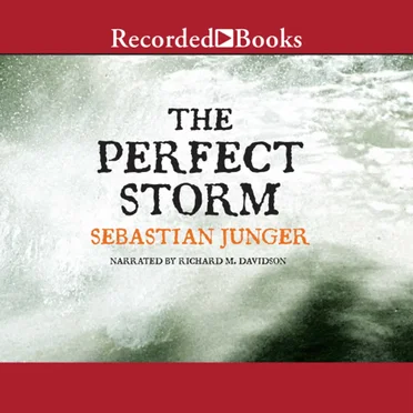 The Perfect Storm: A True Story of Men Against the Sea by Sebastian Junger - album cover