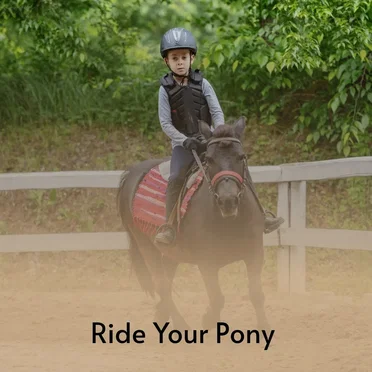 Ride Your Pony by Various Artists - album cover