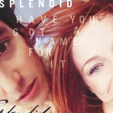 Have You Got a Name for It by Splendid - album cover