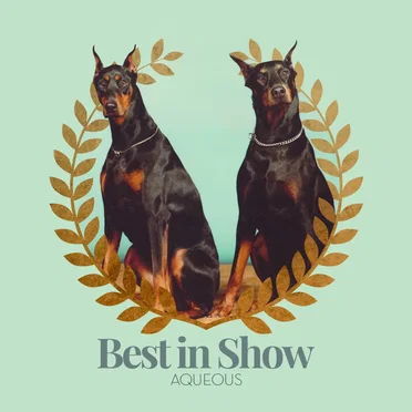 Best in Show