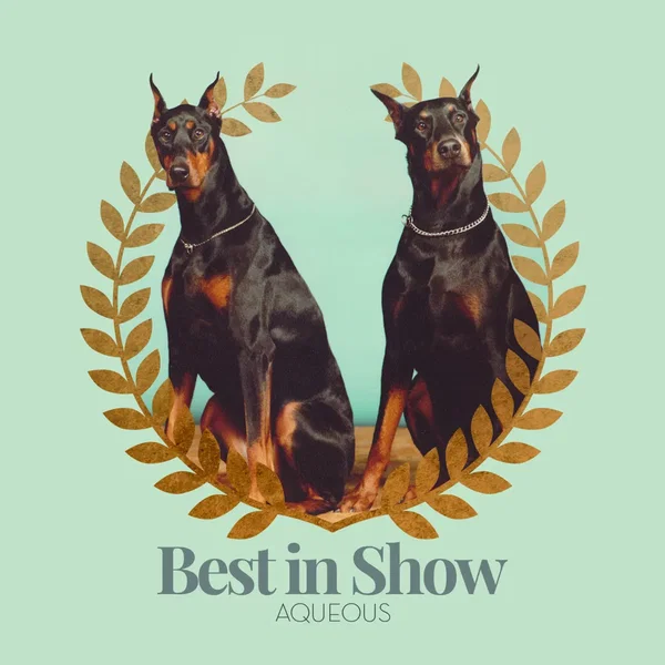 Best in Show