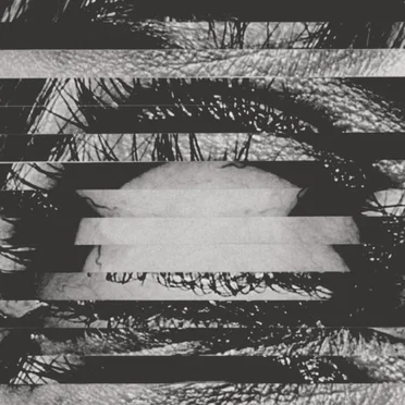 Re-Pinned by A Place to Bury Strangers - album cover