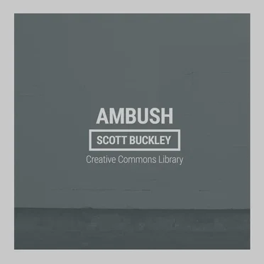 Ambush