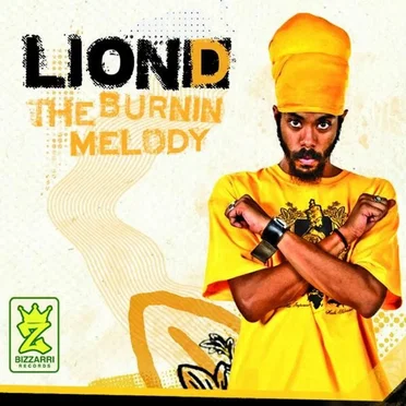 The Burning Melody by Lion D - album cover