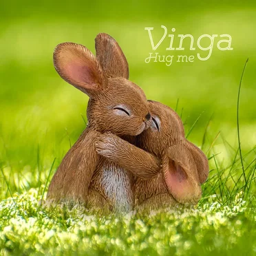 Hug me by Vinga - album cover