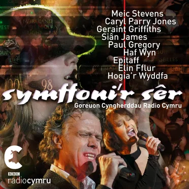 Symffoni’r Ser by Amrywiol - album cover