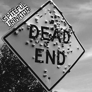 Dead End (Electro Hippies)