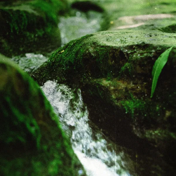 Little Suite, Vol. 2