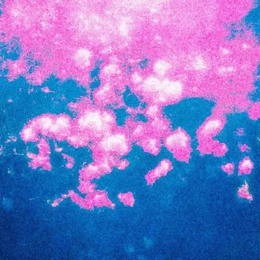 old songs / demos by flowerdance - album cover