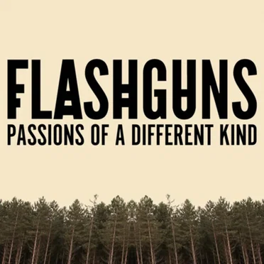 Passions of a Different Kind by Flashguns - album cover