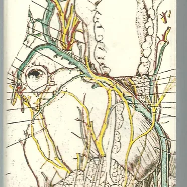 Factories Astir + Factories in Flux