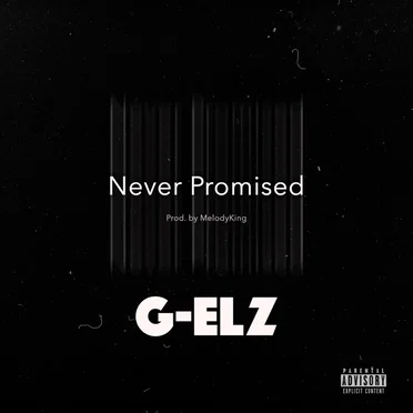 Never Promised by G-Elz - album cover