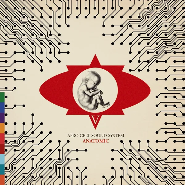 Volume 5: Anatomic