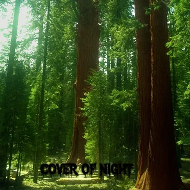Cover of Night