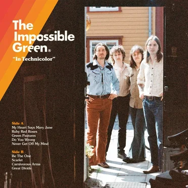 In Technicolor by The Impossible Green - album cover