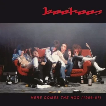 Here Comes the Hoo (1986-87) by Boohoos - album cover