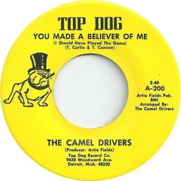 The Camel Drivers
