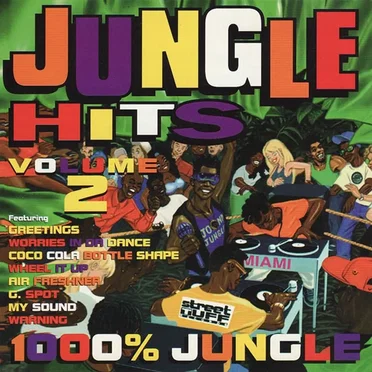 Jungle Hits, Volume 2 by Various Artists - album cover
