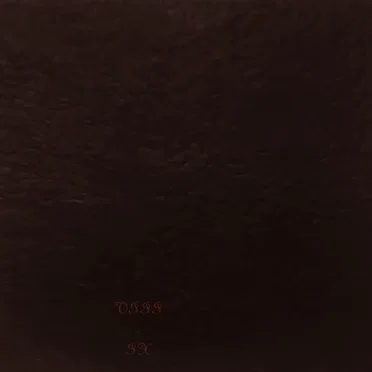 VIII – IX by Immersive Seclusion - album cover
