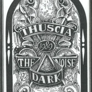 The Dark Noise
