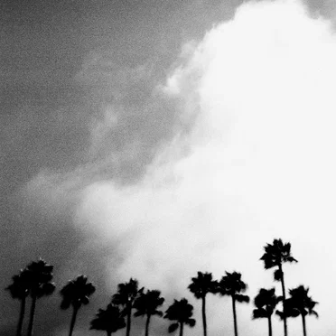 Radiation Breeze by Richard Rose - album cover