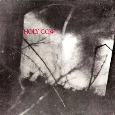 Holy Cow