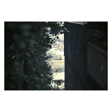 そこない