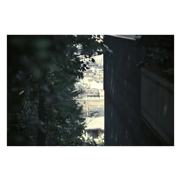そこない