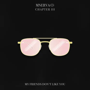 My Friends Don't Like You
