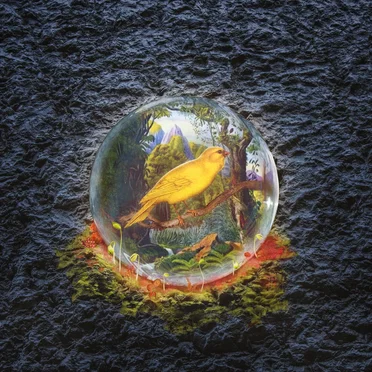 Canary in the Coal Mine