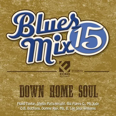 Blues Mix Vol. 15: Down Home Soul by Various Artists - album cover