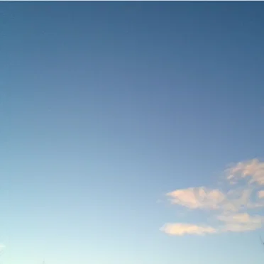 Do Birds Dream in Song?
